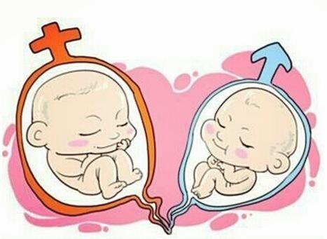 孕妈试管咨询服务代生儿子